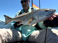 26" Redfish on 20240411